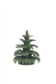 Ringelbaum grün - H 1 cm