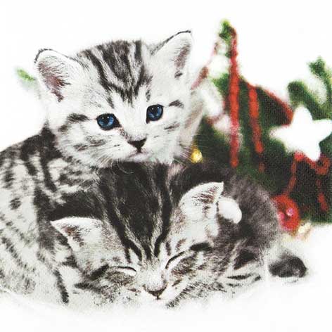 Serviette - Christmas Cats