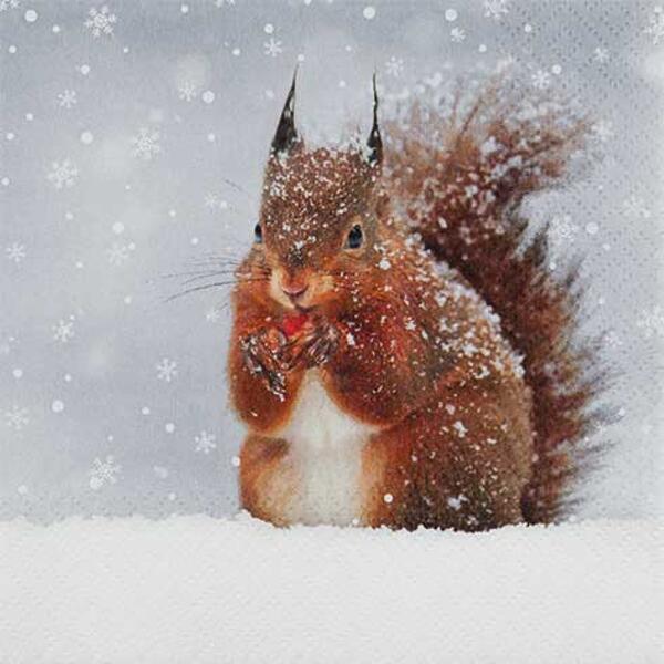 Serviette - Snowy Squirrel